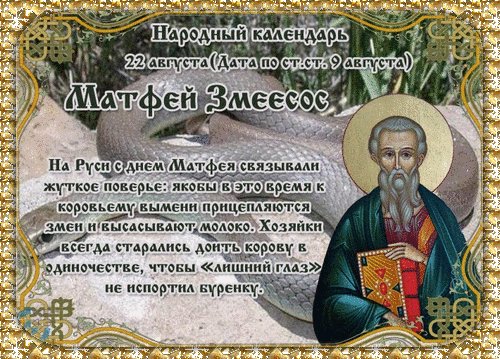 Анимированная открытка матвей змеесос (1)