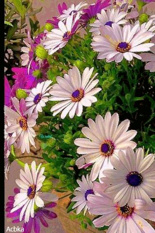 file_75507768