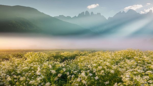 Mountain Light Premium 3