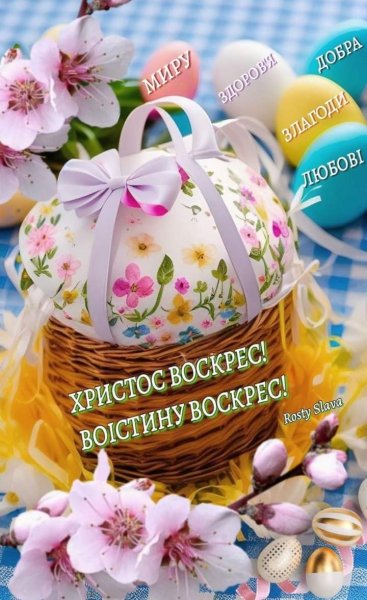 FB IMG 1714924523384