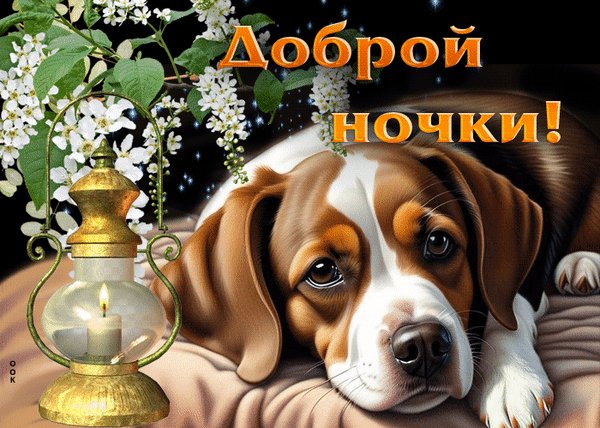 Анимированная открытка доброй ночки