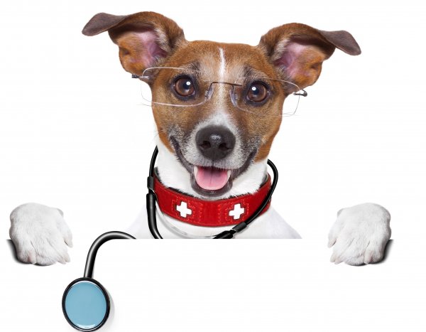 Shutterstock 155977511