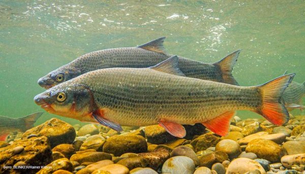 IMG 20230810 072403 696