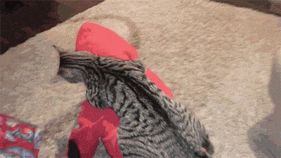 В Альтернативной Вселенной