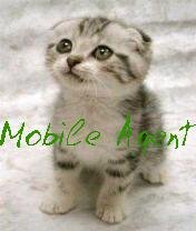 Kitten splash Mobile Agent by Storm