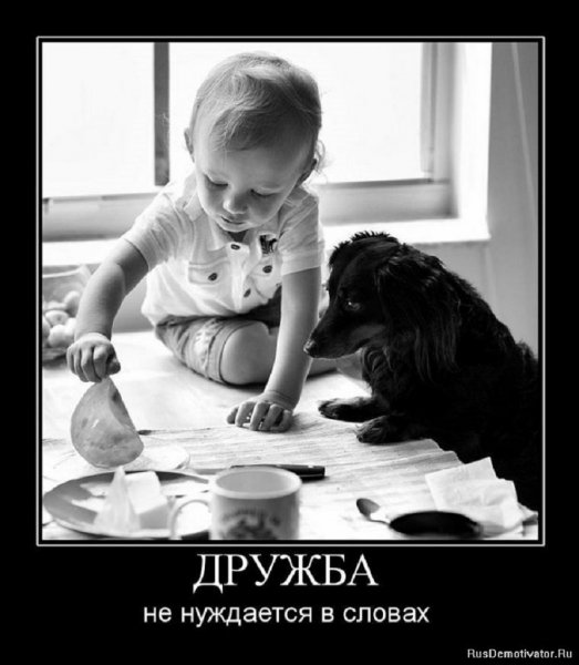 ДРУЖБА...