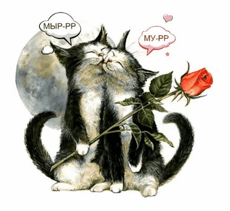 День кошек в России