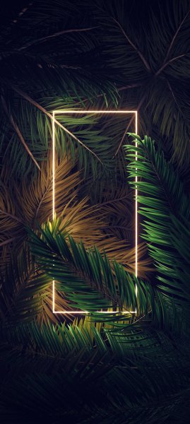 Light