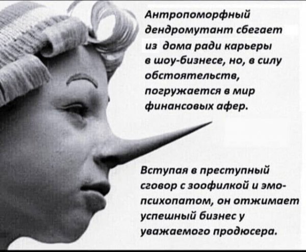 IMG 20231222 213941 046