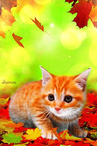file_70512950