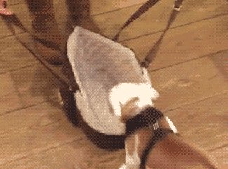 d0bfd0bed0b4d0b1d0bed180d0bad0b0-d0b3d0b8d184d0bed0ba-05-01