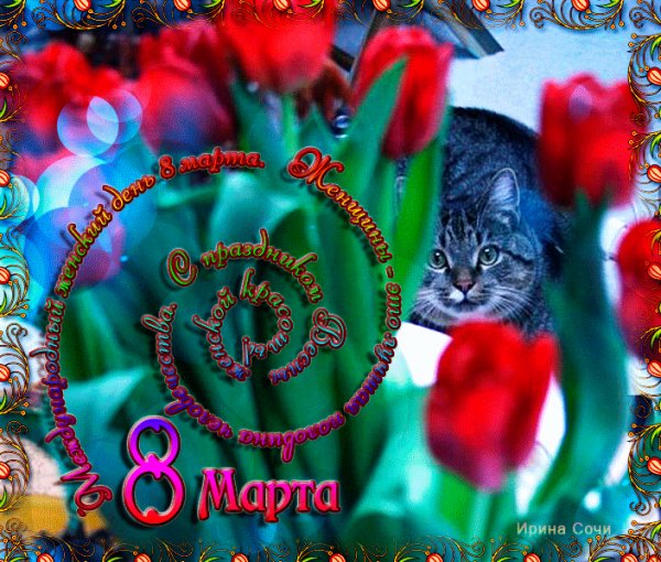 С 8 Марта!
