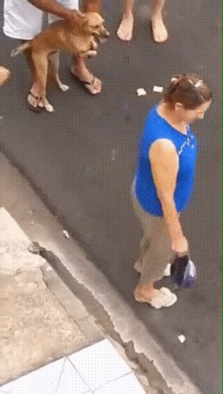 Преданность