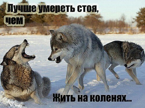 IMG 20150912 180347 1