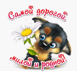 50a93349c67bba7251b943134803596f