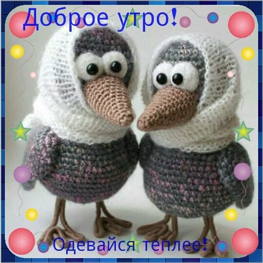 IMG-20181116-WA0000
