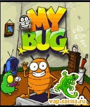 My Bug