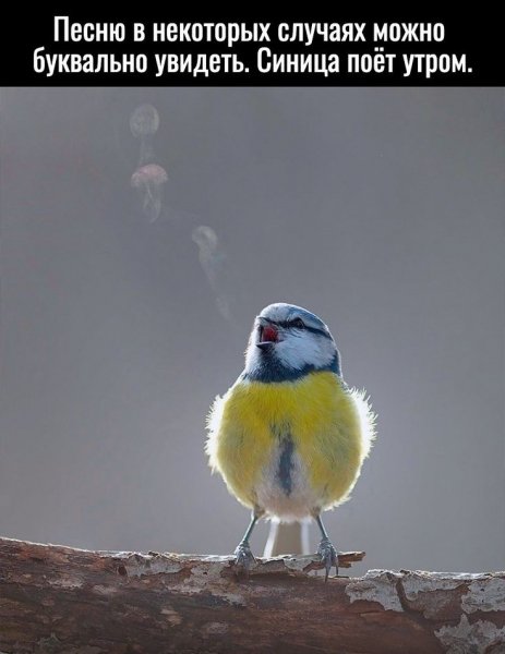 e556f-e92b-48b6-b4f4-38170c386b28