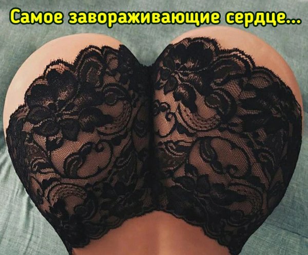 Сердце