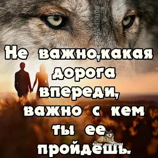 Дорога впереди