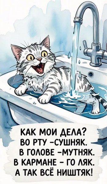 Как дела?