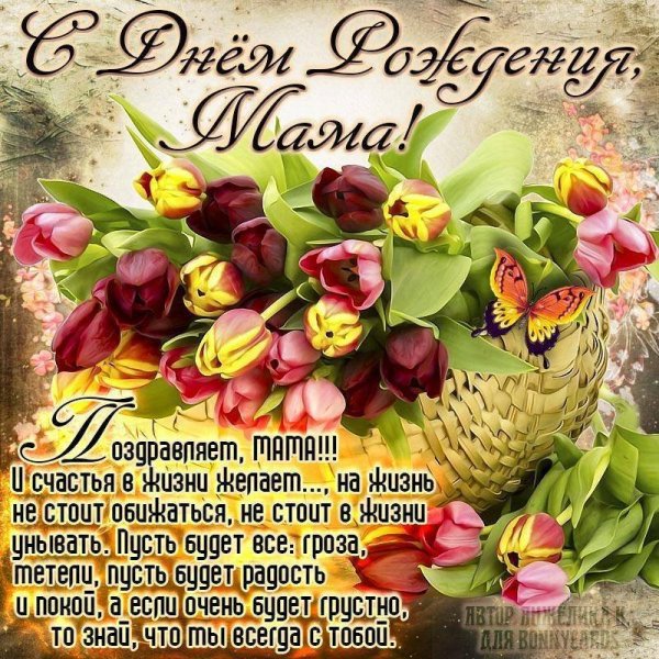 IMG-20230912-WA0010