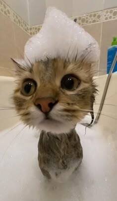 file_101376553