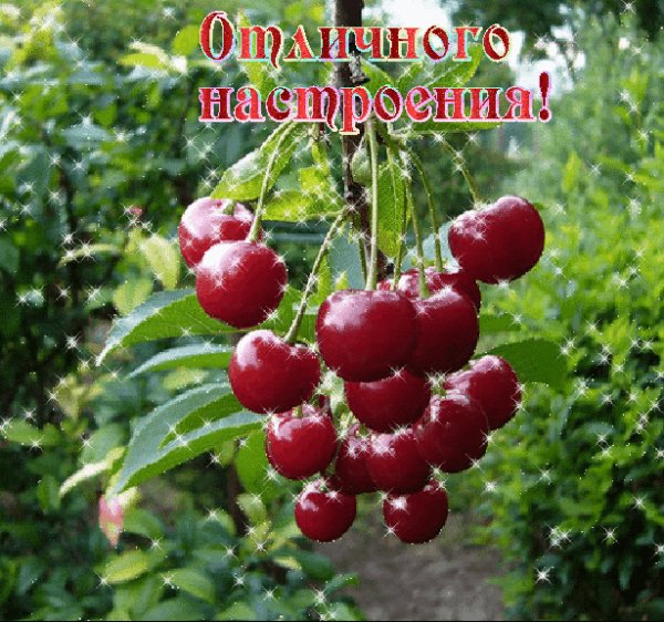 Отличного настроения!