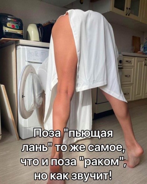 KG4439786