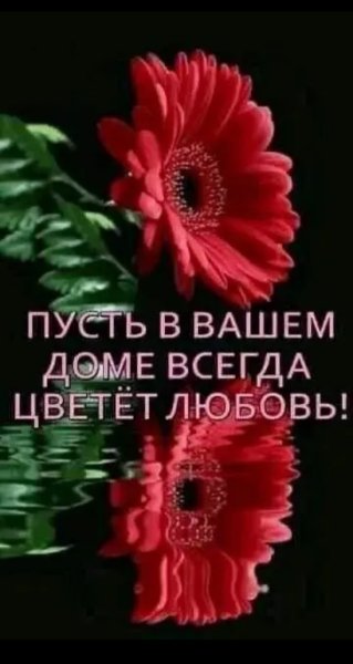 IMG 20260427 222416