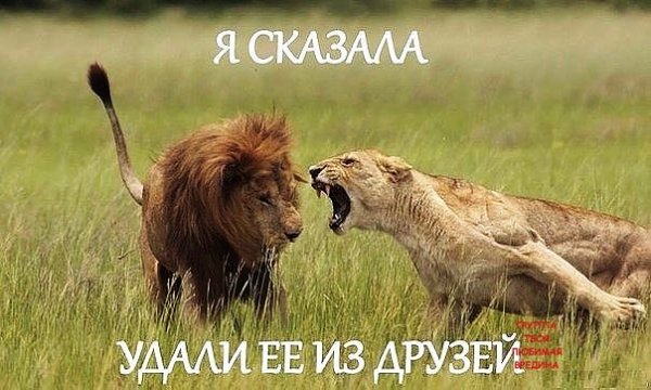 IMG 20160414 085535 49