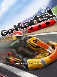 Go Karts 3D
