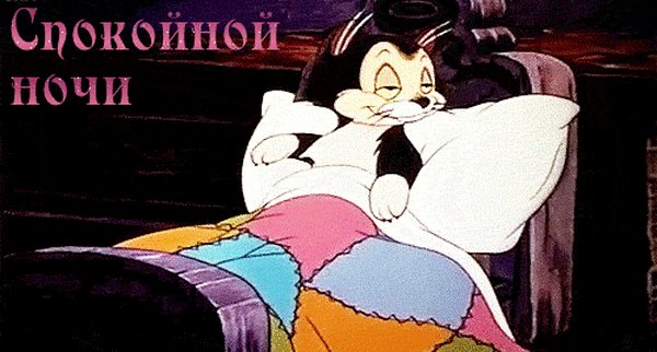 IMG 20171017 132007 75