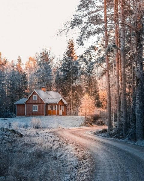 file_92865127