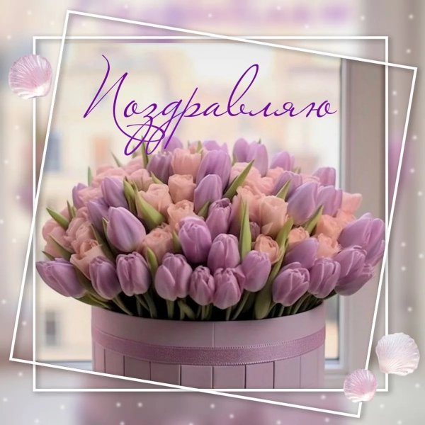 IMG 20260312 114355 168