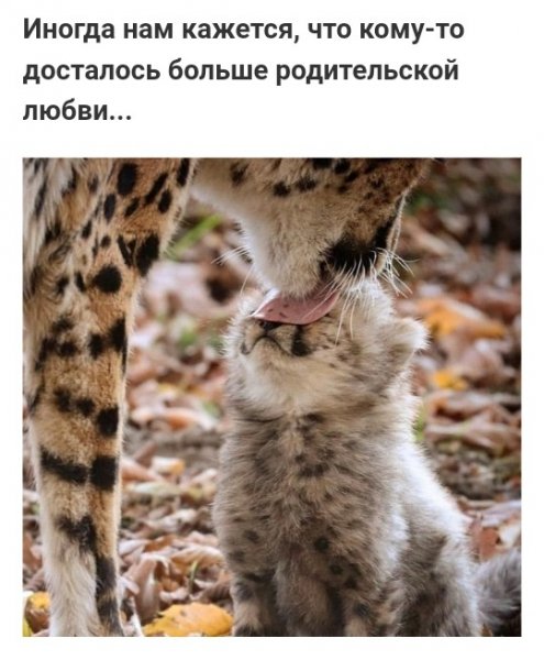 Родители и дети