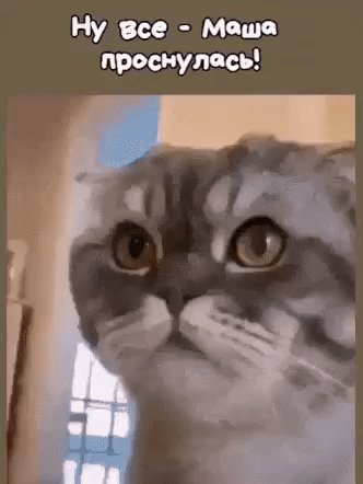 Маша проснулась