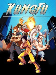 x320(sam)-kung fu put bojca