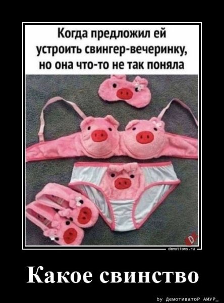 Какое свинство