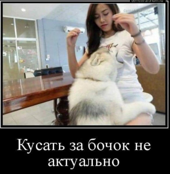 FB IMG 1730810043881