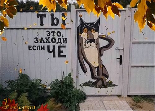 file_75449673