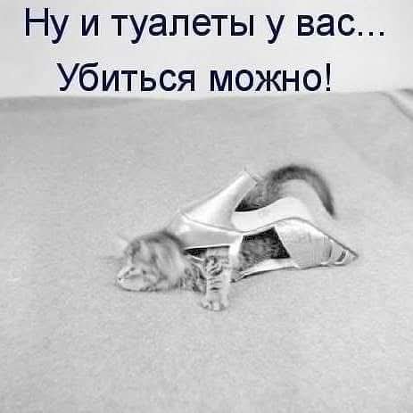 FB IMG 1776447219994