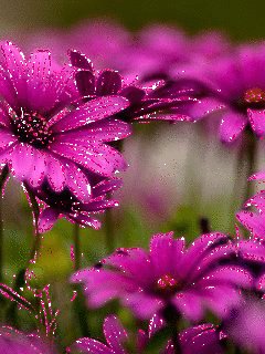 file_59422913