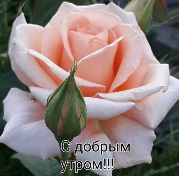 WSFhhe2zB10