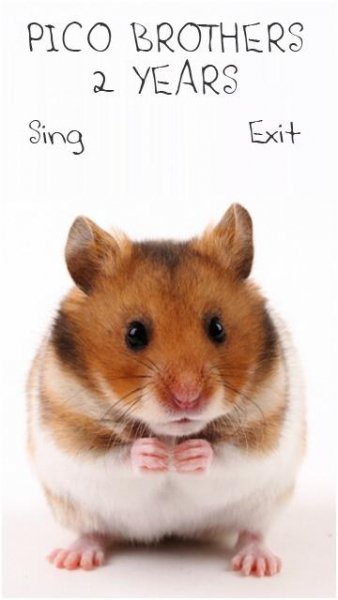 Говорящий хомяк maks65ru