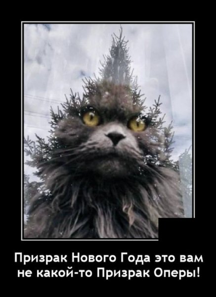 Призрак Нового Года...