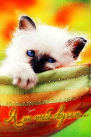 file_48743414