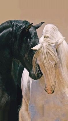 6e95a53f6309f99782c8dd51774835a9