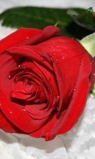 file_53580095