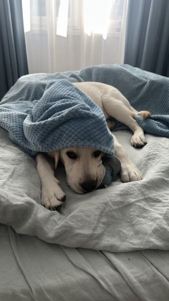 1QSEDFTGYGHVXDF1F9UY